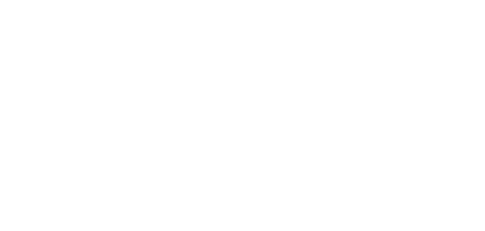 floWyse